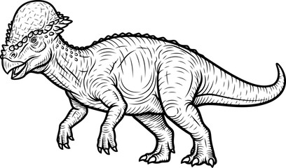 Pachycephalosaurus dinosaur with thick domed skull bone illustration