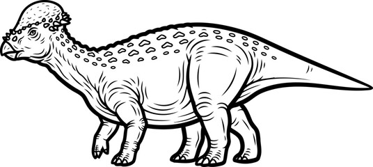 Obraz premium Pachycephalosaurus dome headed dinosaur profile