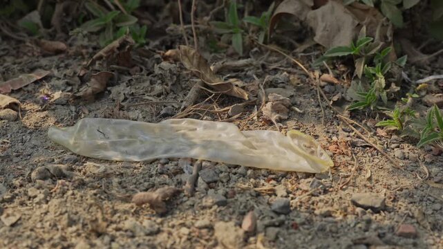 Used condom disposed of in public.
