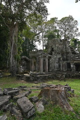 The impressive ruins of Preah Khann temple near Angkor Wat in Siem Reap Cambodia - an incredible example of the advanced Khmer architecture but engulfed by the jungle