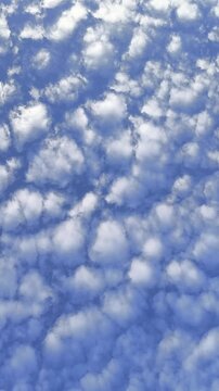 Altocumulus cloud field drifts across deep blue sky, forming a mackerel sky pattern in daylight.