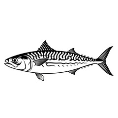 Obraz premium Mackerel Fish Black Silhouette – Seafood Logo, Fishery Branding, Marine Food Packaging Icon