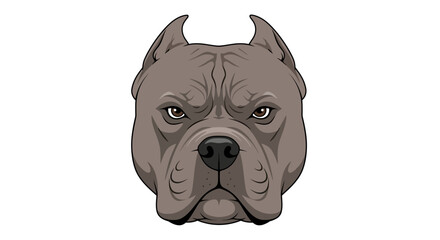 Illustrated fierce pitbull dog head on white background