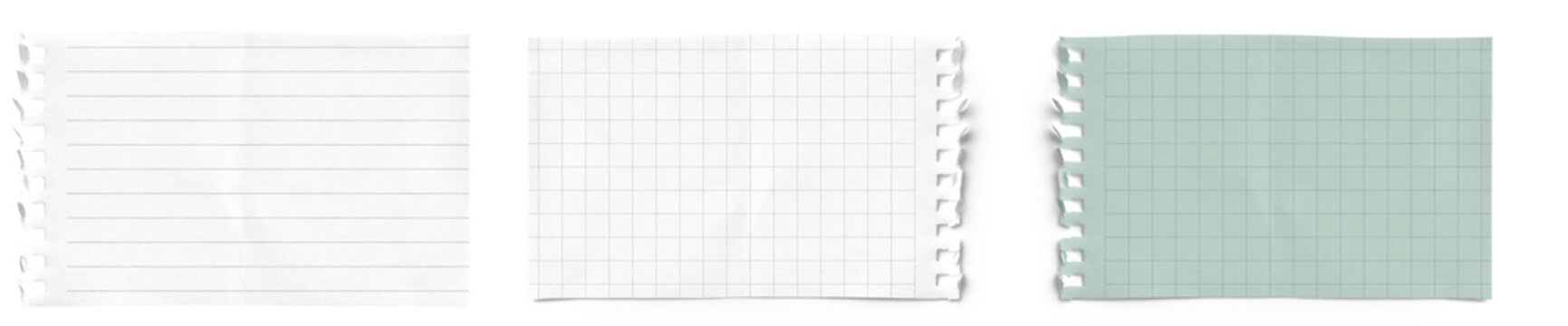 a trio of torn notebook paper sheets: lined, grid, and green grid, providing rustic textures for design projects.