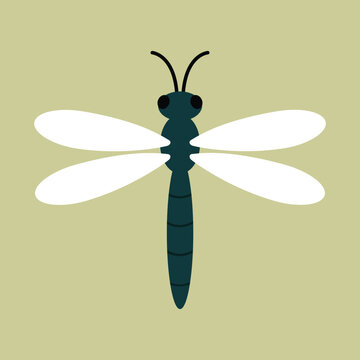 illustration of a dragonfly with detailed wings isolated