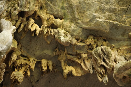 stalactite in the cave