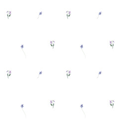 Seamless watercolor spring violet flower pattern with small delicate blooms on white background, minimal nursery botanical repeat