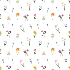 Seamless watercolor spring floral pattern with small primrose, daffodil and violet flowers on white background for textile and fabric print