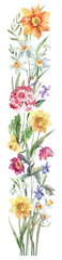 Hand drawn watercolor spring flowers composition, vertical botanical decorative element in light natural style