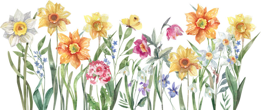 Hand drawn seamless watercolor spring flower border, botanical floral trim pattern for fabric, wallpaper and decorative design