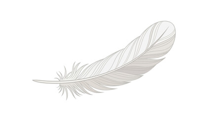 Elegant white feather isolated on a clean white background