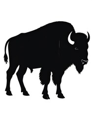 A solid black silhouette of a large bison, depicted with its horns, shaggy fur, and four legs standing. The backdrop is plain white