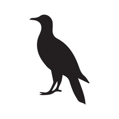 Obraz premium vector illustration of a bird