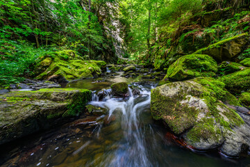 Obraz premium The picture shows a stream running through a forest that is filled with rocks and moss-covered boulders. Water flows over the rocks, creating smaller cascades, which is typical of mountain streams.