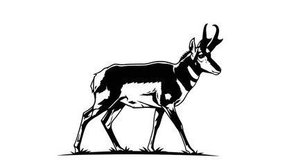 Black and White Illustration of a Pronghorn Antelope Standing on Grassy Ground © Kaylee