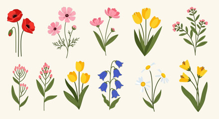 Collection of Various Beautiful Wildflowers on a Light Background, Top View