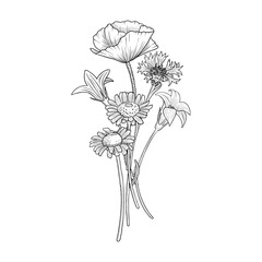 Obraz premium vector drawing flowers, bouquet of flowering wild plants, poppy, daisies,bells and cornflower, vintage style elements isolated at white background, hand drawn illustration