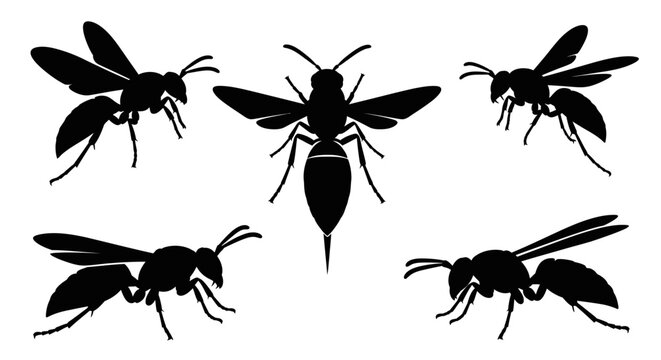 Vector silhouette illustrations of wasps in various poses, flying, hovering and resting.
