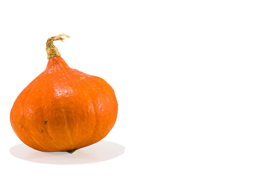 courge orange sur transparence