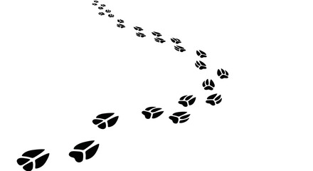 Obraz premium Black Animal Paw Prints Trail Curve on White Background, Wildlife Footsteps Illustration