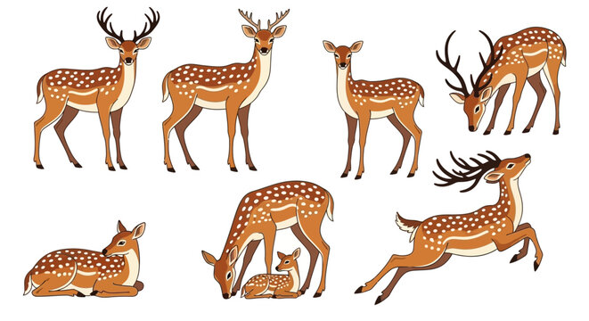 Group of Diverse Sika Deer Poses, Standing, Resting, and Leaping in a Stylized Illustration