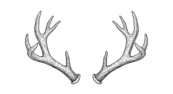 鹿ツノ」の写真素材 | 532,818件の無料イラスト画像 | Adobe Stock
