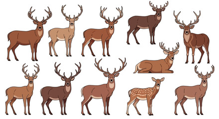 Fototapeta premium Collection of Diverse Deer Species with Antlers, Standing and Resting on White Background
