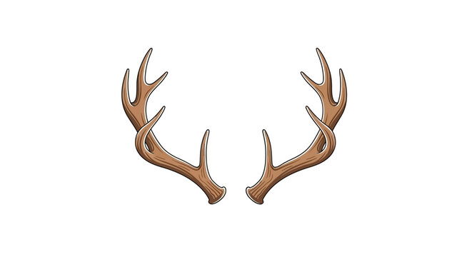 Whimsical Brown Deer Antlers with Antler Branches against White Background