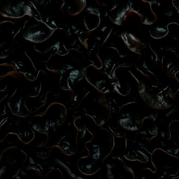 Top View of Black Wood Ear Mushroom Auricularia Polytricha  Texture