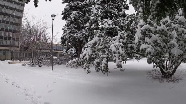 a snow-covered park with trees and a lantern