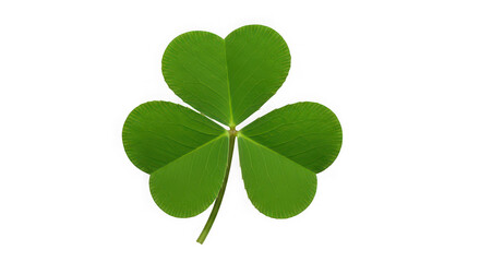 A four-leaf clover on transparent background, symbolizing good luck and fortune in a natural setting