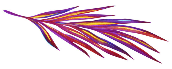 Colorful palm branch watercolor hand drawn illustration isolated on white © AineGing