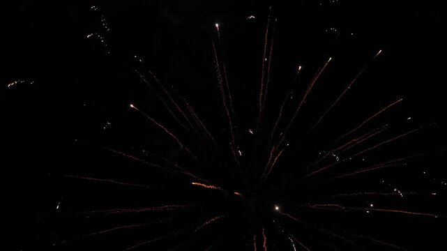 Multicolor fireworks sparks fly across black night sky on holiday event. Festive dazzling display with firework bursts against darkness during party. Fireworks show on public holiday for audience