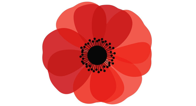 A stylized, translucent red poppy with a black center and numerous stamens, set against a white background.