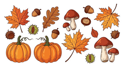 A vibrant collection of autumn elements including pumpkins, colorful maple leaves, acorns, and mushrooms, evoking a festive fall atmosphere. © Alule