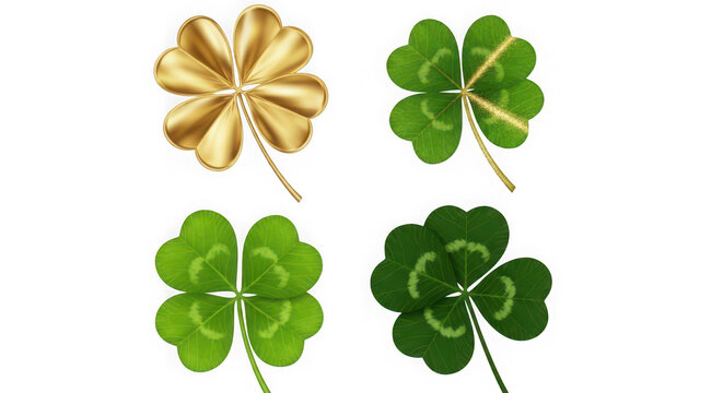 A set of four leaf clovers on a transparent background, including one gold clover