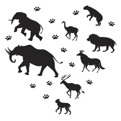 Obraz premium silhouettes of animals