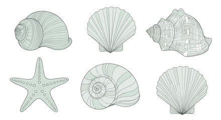 Fototapeta premium Diverse collection of six sea-themed objects, including various seashells and a starfish, ideal for beach, ocean, or coastal decor themes.