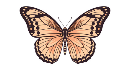 Obraz premium Detailed illustration of a vibrant orange and black butterfly, showcasing intricate wing patterns and elegant form.