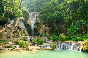 Naklejka premium Layered limestone waterfalls flow into clear turquoise pools surrounded by dense tropical forest at Kuang Si Waterfalls in northern Laos. Sunlight filters through lush green foliage, highlighting the