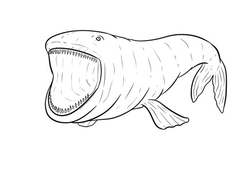 bloop digital drawing illustration isolated