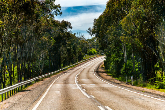 Riverina Countryside in Spring &ndash; Lush Fields Under Clouded Skies