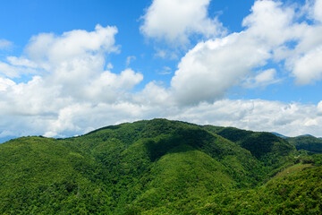 Obraz premium Expansive view of lush green hills covered in dense forest beneath a vibrant blue sky with scattered white clouds in the countryside between Phou Khoun and Luang Prabang, Laos. The scene highlights