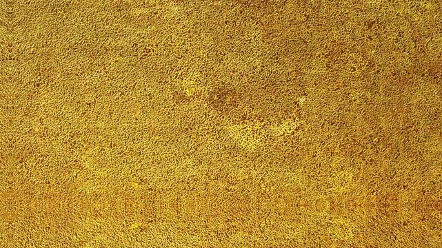 4K Golden Texture Animated Overlay Footage | Luxurious Gold Shimmer Motion Overlay 4K | Elegant Metallic Gold Texture Animation | Cinematic Golden Glitter Overlay Video 4K | Premium Gold Dust Texture 
