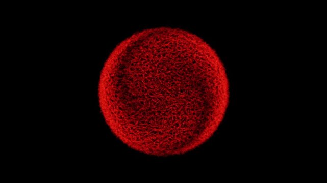 Red oval shape floats on black background