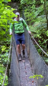 A man hikes across a suspension bridge in Kauaeranga Kauri Trail, Thames, Coromandel Peninsula, New Zealand. He is wearing a green jacket and blue shorts, enjoying the outdoors and the lush forest sce