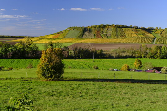 Blick von Michelau im Steigerwald auf die Weinberge bei Pr&uuml;ssberg, Naturpark Steigerwald, Gemeinde Michelau, Landkreis Schweinfurt, Unterfranken, Franken, Bayern, Deutschland