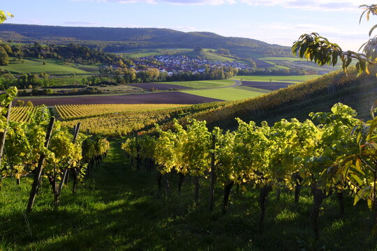 Blick von den Weinbergen bei Pr&uuml;ssberg nach Michelau im Steigerwald, Naturpark Steigerwald, Gemeinde Michelau, Landkreis Schweinfurt, Unterfranken, Franken, Bayern, Deutschland
