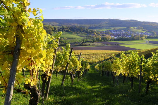 Blick von den Weinbergen bei Pr&uuml;ssberg nach Michelau im Steigerwald, Naturpark Steigerwald, Gemeinde Michelau, Landkreis Schweinfurt, Unterfranken, Franken, Bayern, Deutschland