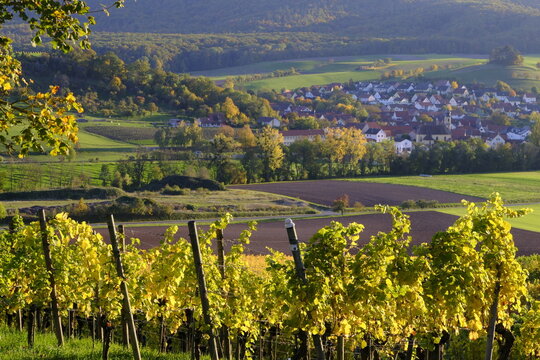 Blick von den Weinbergen bei Pr&uuml;ssberg nach Michelau im Steigerwald, Naturpark Steigerwald, Gemeinde Michelau, Landkreis Schweinfurt, Unterfranken, Franken, Bayern, Deutschland